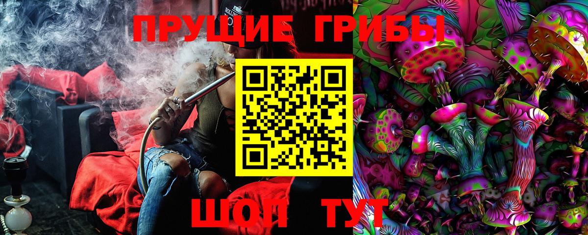 Галлюциногенные грибы GOLDEN TEACHER  Псилоцибиновые грибы Psilocybine cubensis  Вход с VPN  Копейск 