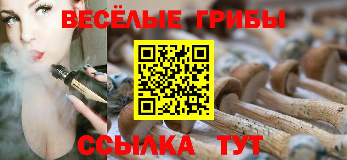 Псилоцибиновые грибы Magic Shrooms Копейск